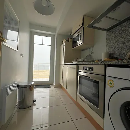 Apartment Avec Vue Bassin, Acces Plage, Parking Inclus - Fr-1-474-278 Arcachon